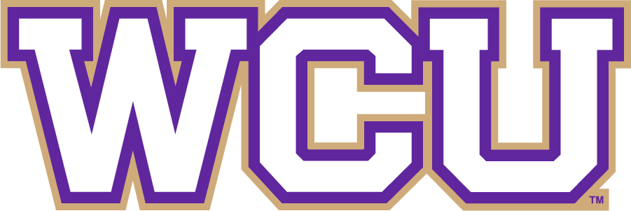 Western Carolina Catamounts 2008-2018 Wordmark Logo DIY iron on transfer (heat transfer)